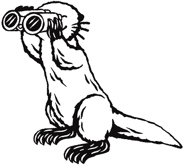 Illustration of Ollie the Otter wearing binoculars on a white background
