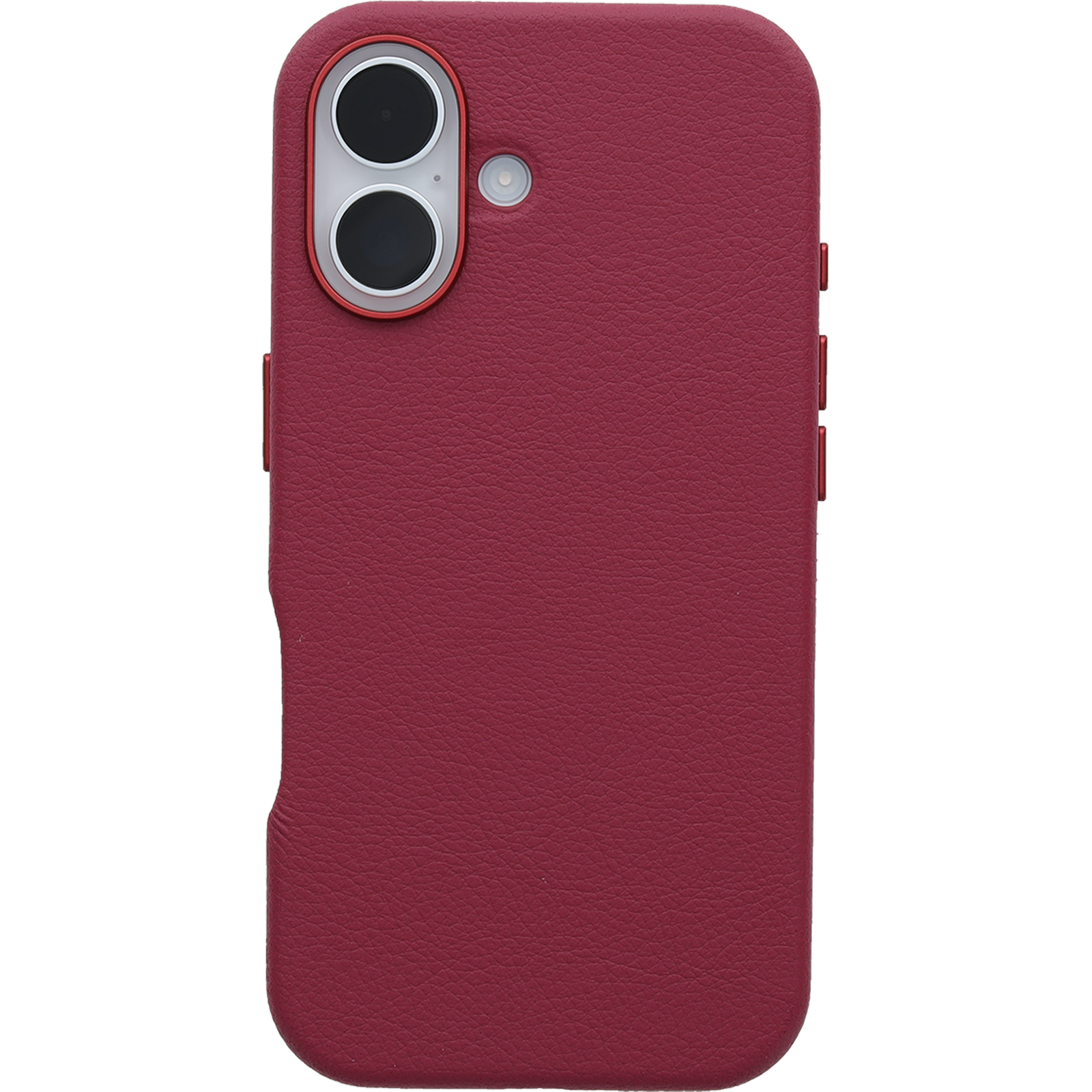 iPhone 16 Symmetry Series Cactus Leather for MagSafe Case - Image 28746